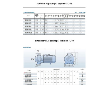 Насосный агрегат моноблочный фланцевый PURITY PSTC 40-125/11