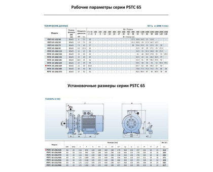 Насосный агрегат моноблочный фланцевый PURITY PSTC 65-250/220