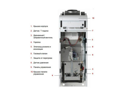 Protherm Медведь 30 KLOM